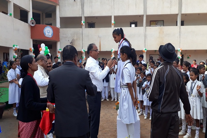 Shri Shankaracharya Public School-Achievements