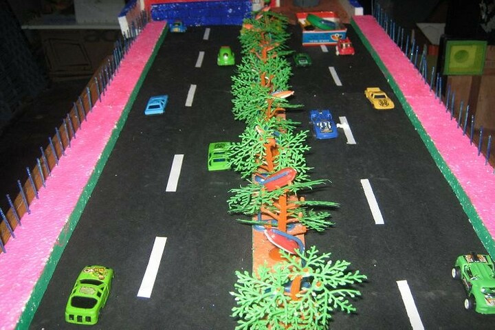 Kendriya Vidyalaya-Science Exhibition