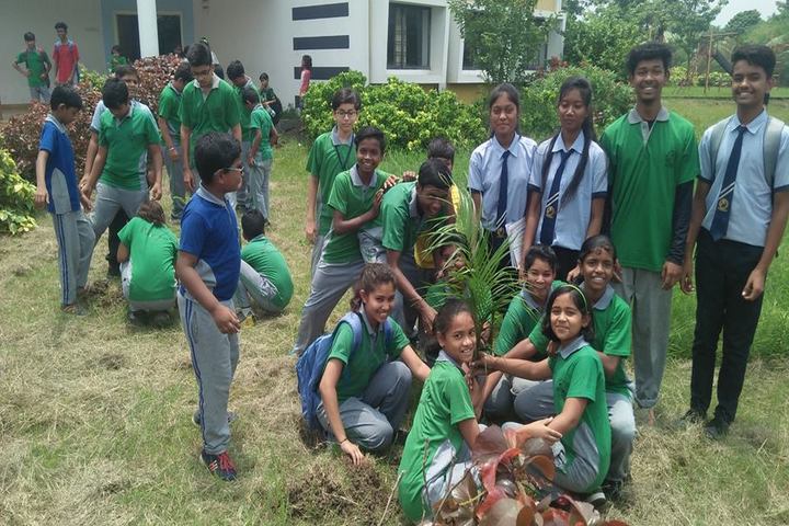 St. Vincent Pallotti International Residential School-Tree Plantation