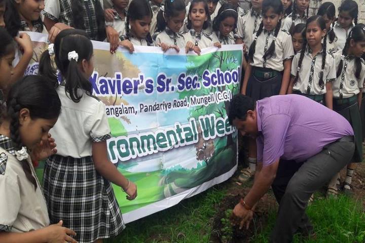 St Xaviers Senior Secondary School-Plantation