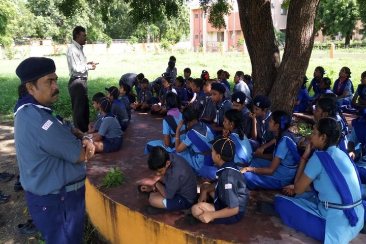 Kendriya Vidyalaya - Scouts And Guides