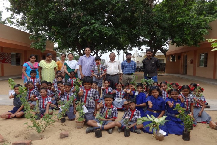 Kendriya Vidyalaya - Plantation