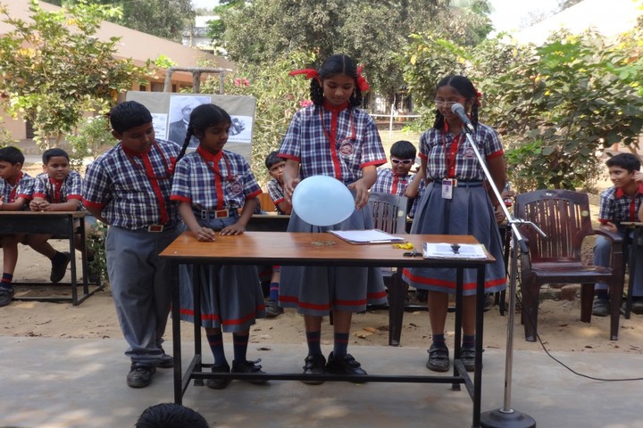 Kendriya Vidyalaya - Science Day