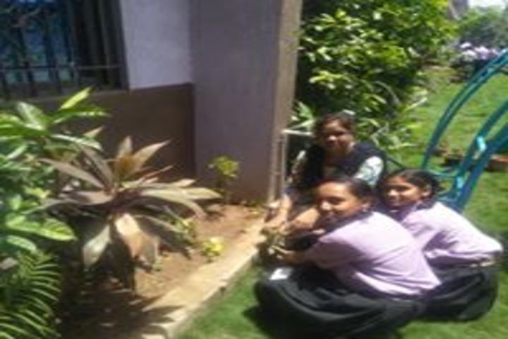 Our Lady Of Help English School-Field Trip
