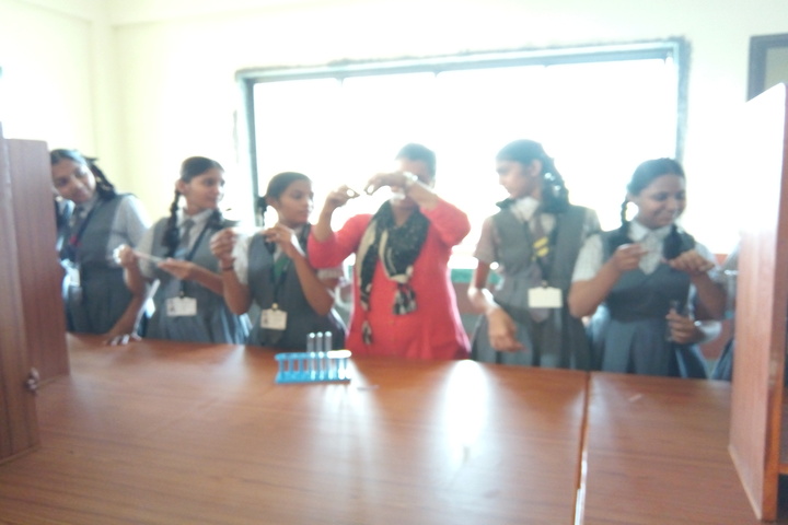 Fr Agnelo School- Chemistry Lab
