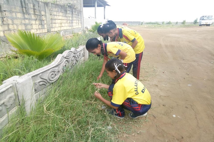 Galaxy English Medium School-Field Trip