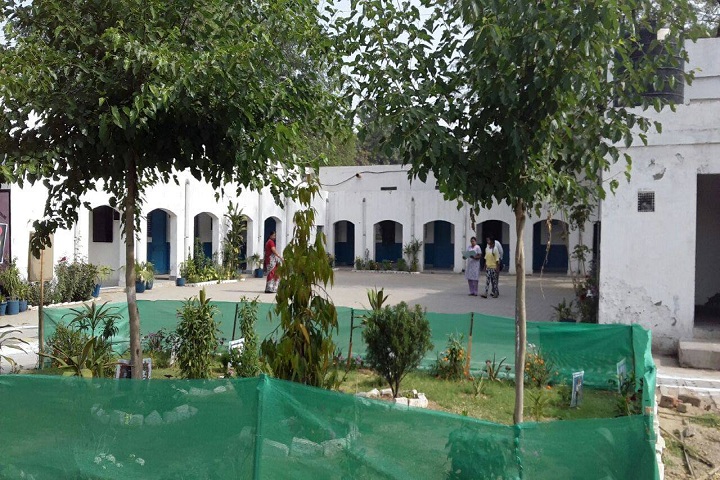 Air Force Gyan Jyoti School-School Area