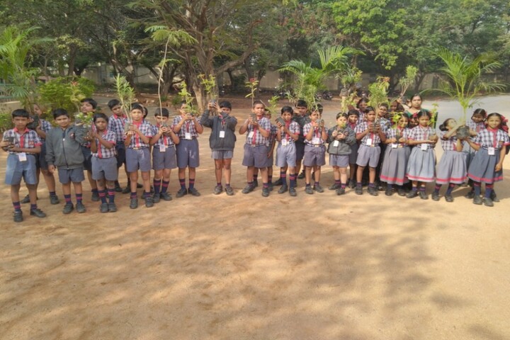Kendriya Vidyalaya - Plantation