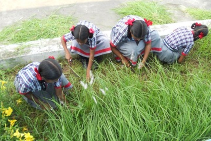 Kendriya Vidyalaya - Swachh Abhiyan