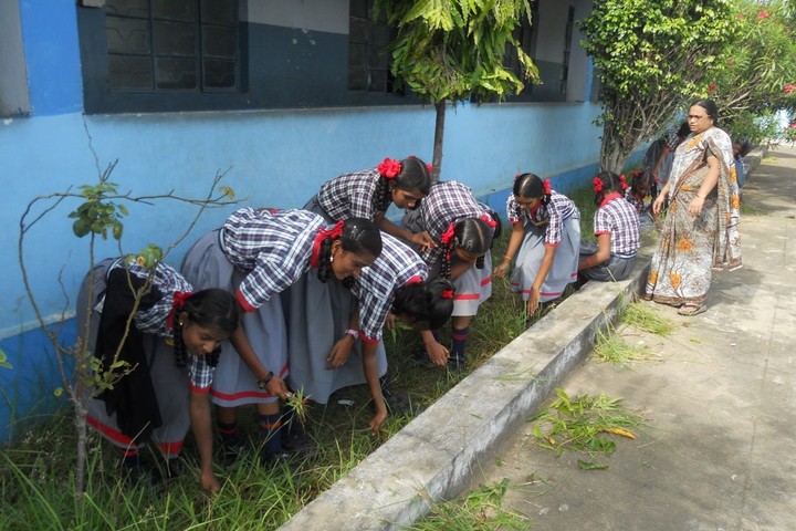 Kendriya Vidyalaya - Swachh Vidyalaya