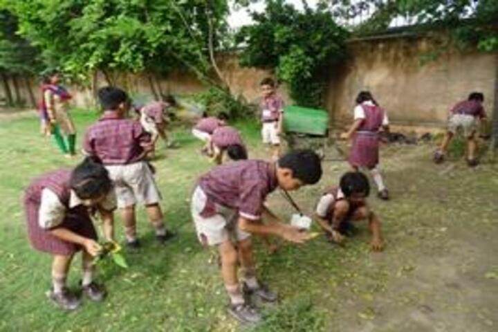 Arvind Gupta D A V Centenary Public School-Cleanliness