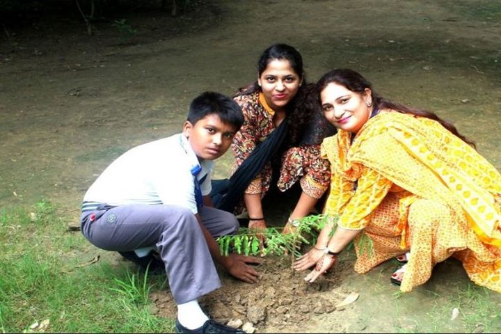 Arwachin International School-Tree Plantation