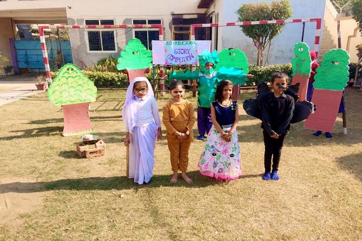 BSM Public School-Fancy Dress