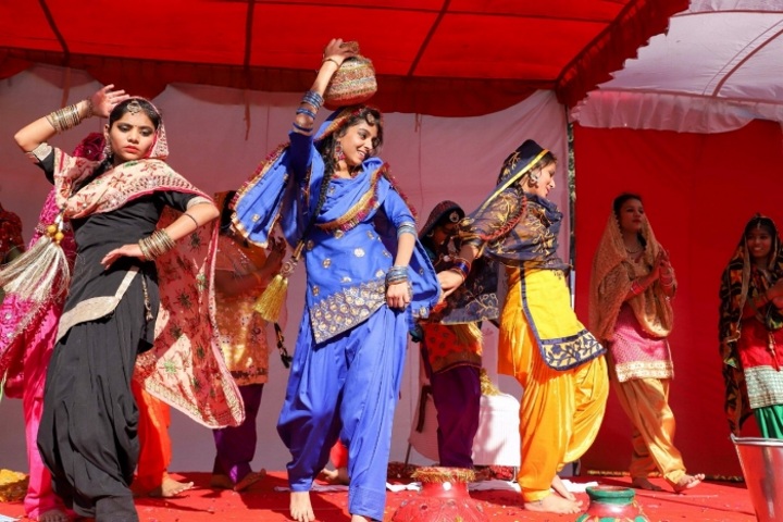 Bhai Joga Singh Public School-Cultural activity