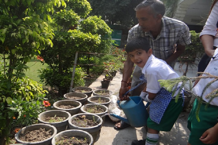 Bhatnagar International School-Tree Plantation
