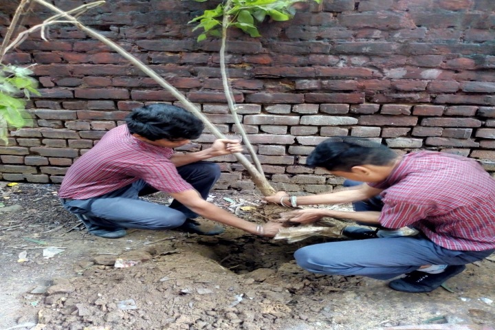 Bidhan Chandra Vidyalaya Senior secondary school-Van mahostav