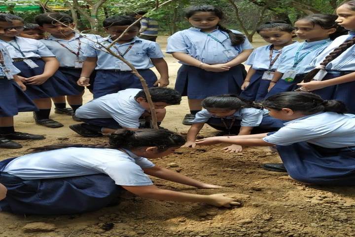 Birla Vidya Niketan-Tree Plantation