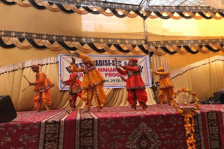 Buds Paradise School-Cultural Activity