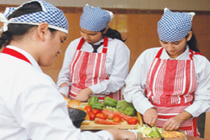 D A V Public School-Food Fest
