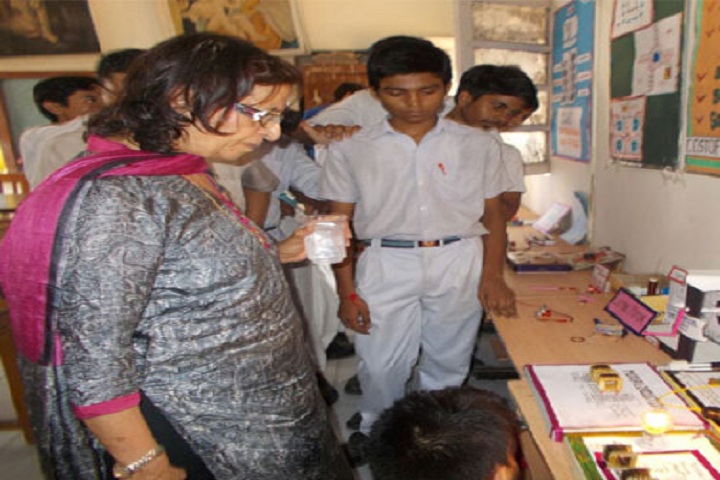 Diwan Chand Arya Senior Secondary School-Science Exhibition