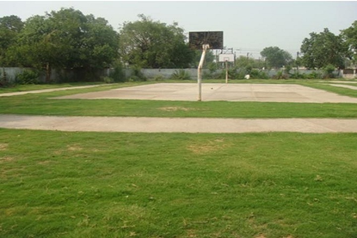 D C M Boys Senior Secondary School- Basketball Court