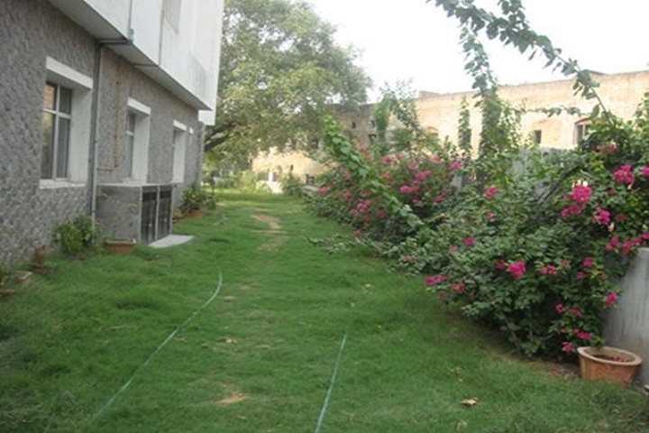 D C M Boys Senior Secondary School- Garden