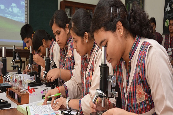 Darbari Lal D A V Model School-Science Lab