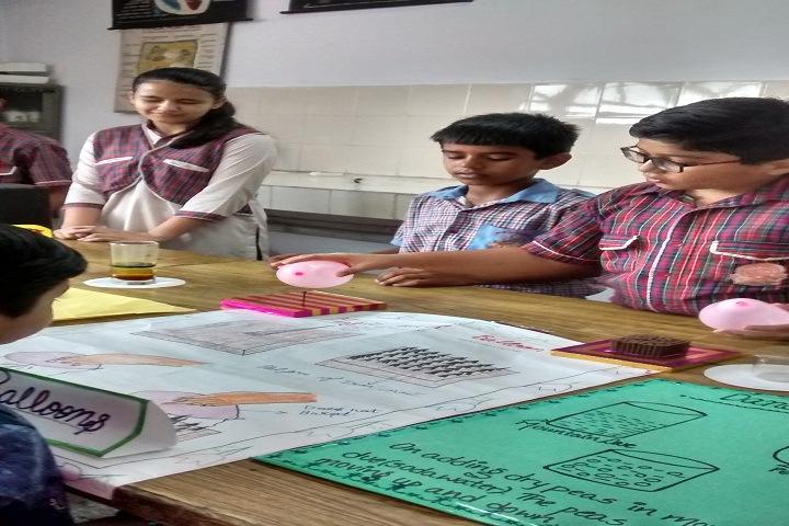 DAV PUBLIC SCHOOL- Science Fair