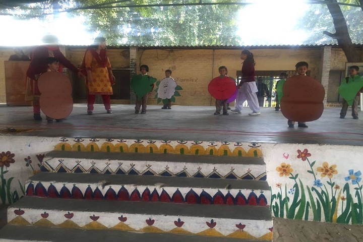 Deen Bandhu Public School-satge activity