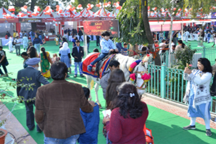 Dr Radha Krishnan International School-Exibhition