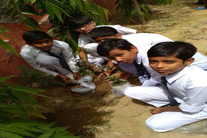 Fair Child Public School- Activities 2