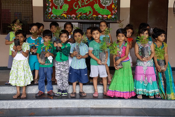 Mnr I Exceed School-Environment Day