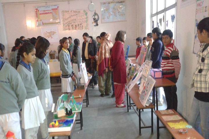 Gold Field Public School-Exhibition