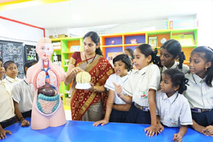 Oak Valley School-Biology Lab