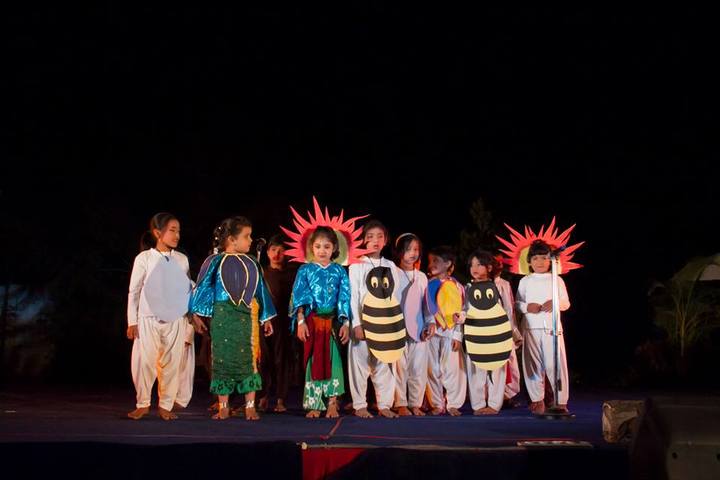 Pebble Creek Life School-Fancy Dress