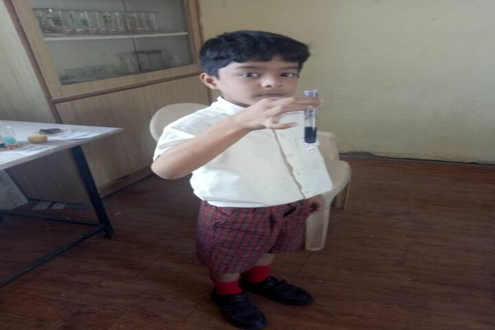 Rainbow Public School-Chemistry Lab