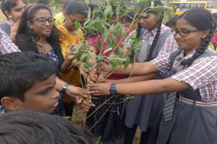 Ridge School-Tree Plant