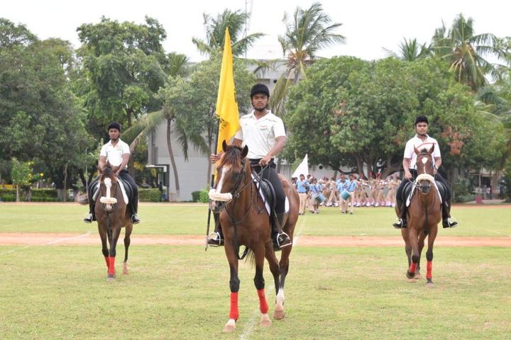 Sree Vidya Nikethan International School-Horse Riding