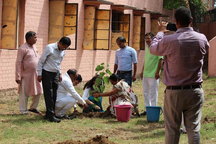 Government Boys Senior Secondary School-Plantation
