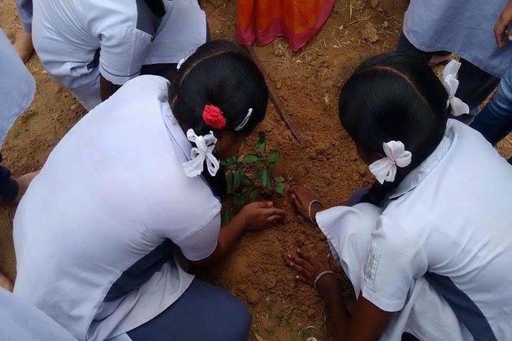 Sri City Chinmaya Vidyalaya- Plantation
