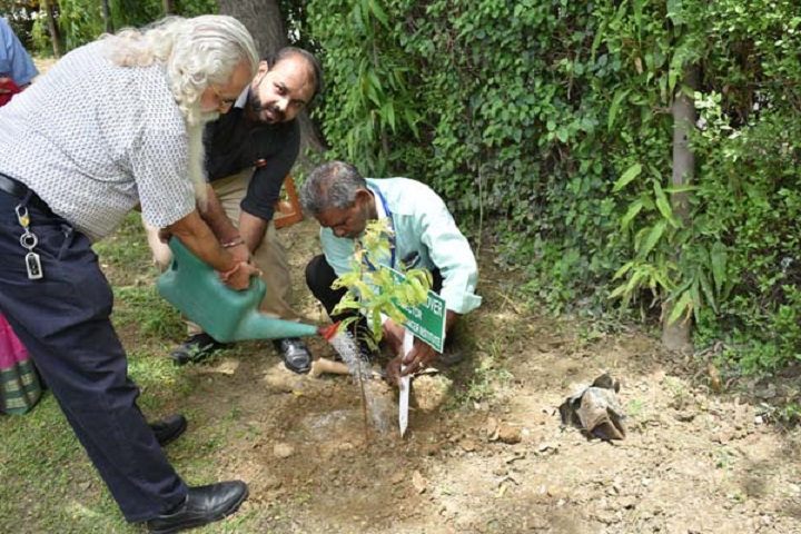 Greenfields Public School-Plantation