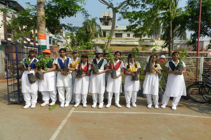 Sri Sathya Sai Vidya Vihar-Plantation