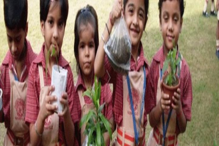 Hope Hall Foundation School-Tree Plantation