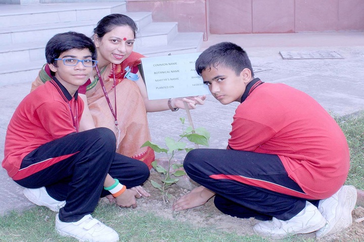 Jesus Mary Joseph School-Plantation