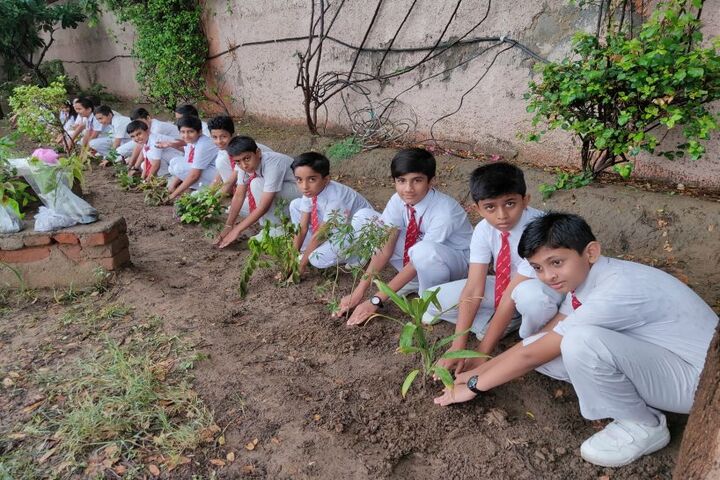 Jinvani Bharti Public School-Plantation