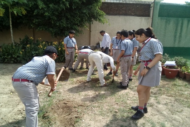 K R Mangalam World School-Tree Plantation