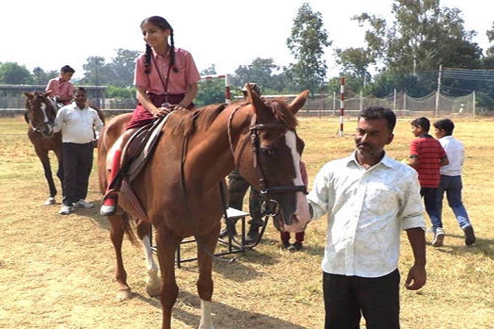 Kasturi Ram International School-Horse Riding