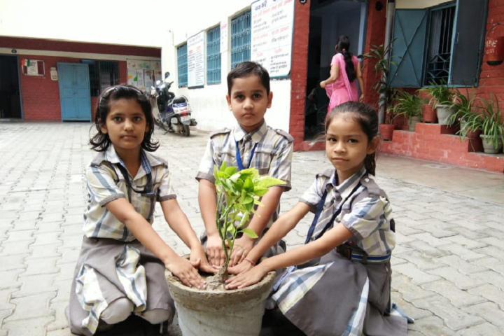 Krishna Model Secondary School-Plantation
