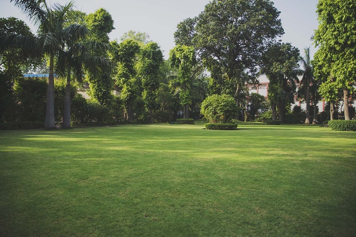Lilawati Vidya Mandir Senior Secondary School-garden