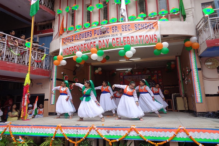 Little Flowers Public Senior Secondary School-Independence Day